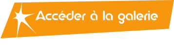 Bouton Galerie